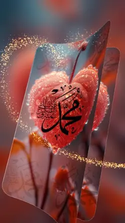 Transisi Sholawat