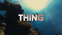 timber edit