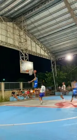 Gio fly