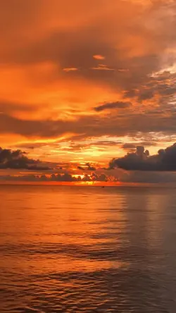 Sunset Vibes
