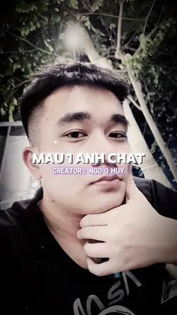 Mẫu 1 ảnh chất