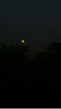 Moon 🌑 