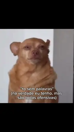 "tô sem palavras" kk