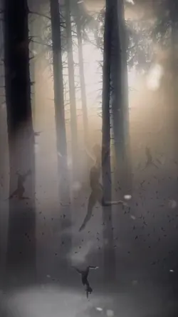 ENCHANTED FOREST 