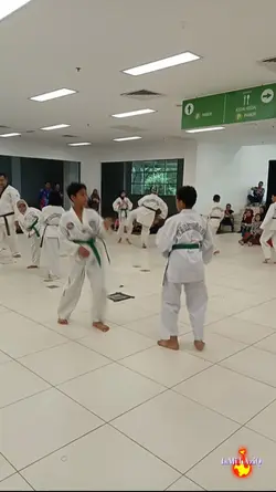 Taekwondo