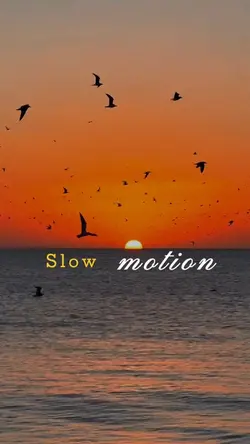 Slowmotion template