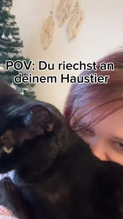 Kurze Entspannung 