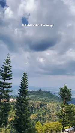 DI BUKIT INDAH BERBU