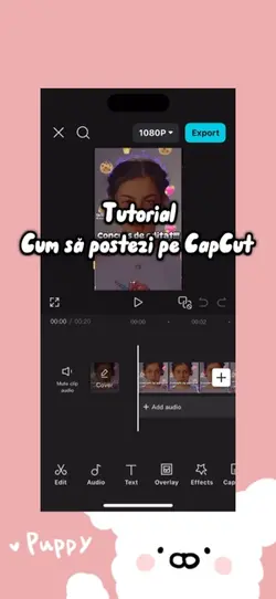 Cum să devii creator