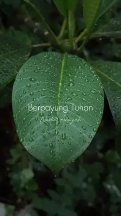 Berpayung Tuhan
