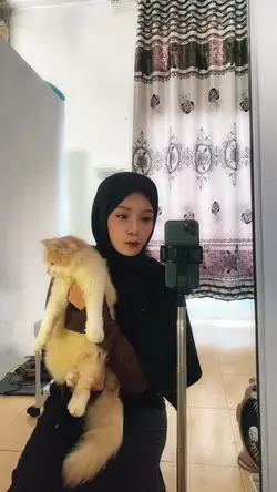 slomo sad