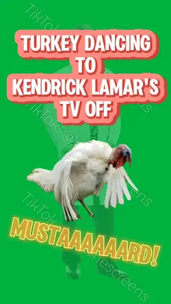 TV OFF TURKEY DANCE