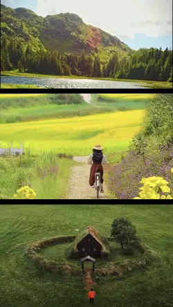 Videos 