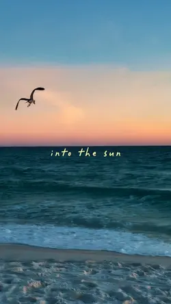 into the sun 