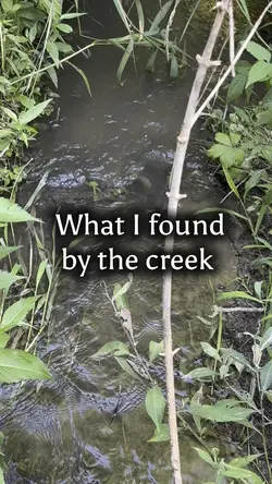 Finding bones 