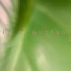 Aesthetic Creation