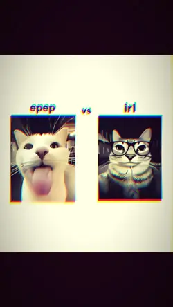 epep vs irl