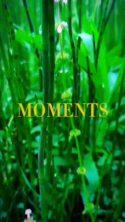 Moments photograph 