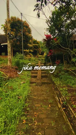 Story galau