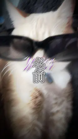 紹介とか