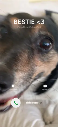 FaceTiming Bestie <3