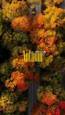 Autumn is coming