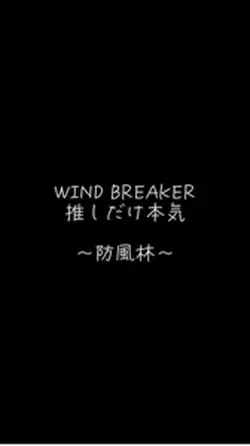 ウィンドブレイカー 推しだけ本気