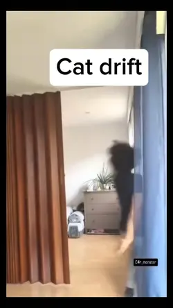 Cat drift 