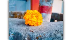 প্রেম তুমি... 