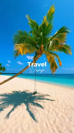 Travel Dump