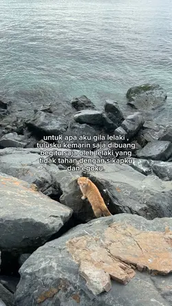 tulusku 