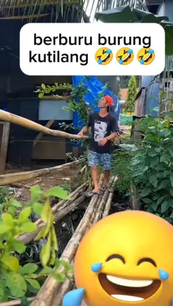 burungku yang malang