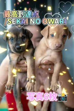 最高到達点/写真6枚