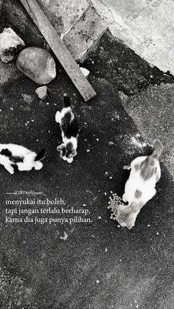 kata kata