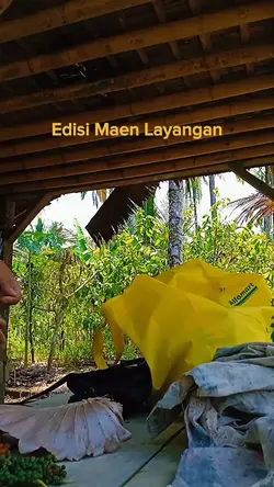 Edisi Maen Layangan