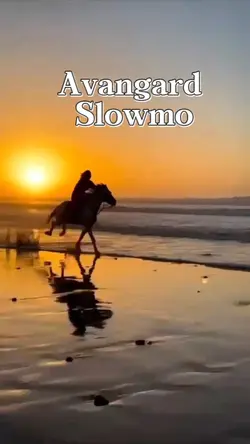 Avangard Slowmo
