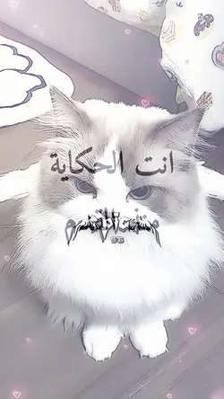 jj trend arabic song