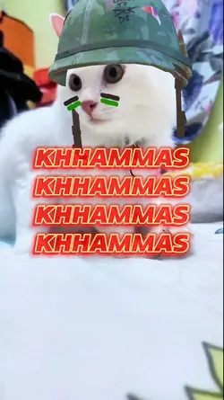 KKHHAAMAAS