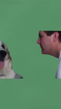 Dog slap man