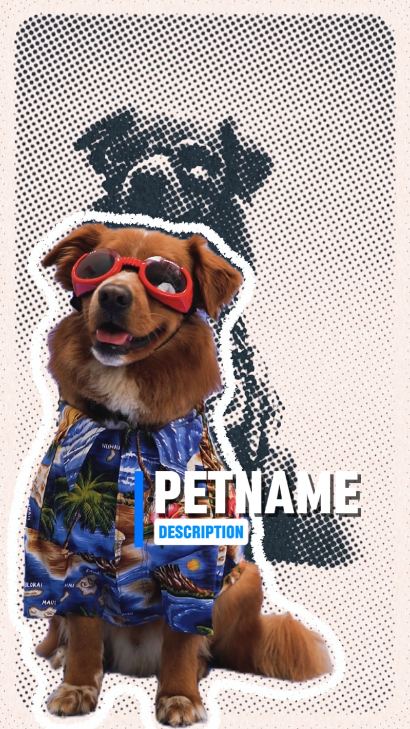 capcut template cover