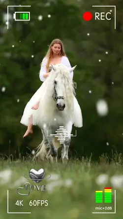 ENDLESS LOVE