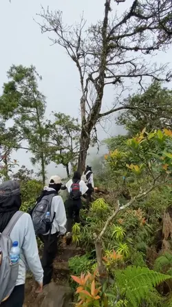 SUARA ALAM GUNUNG