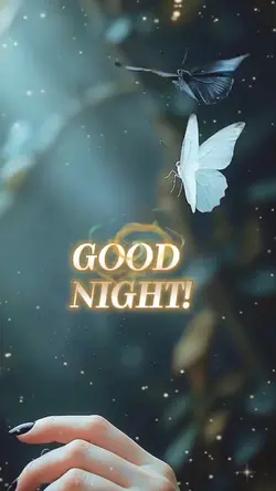 GOOD NIGHT