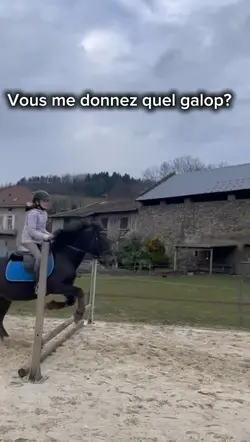 Ceux qui savent chut