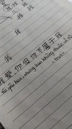 1 ảnh