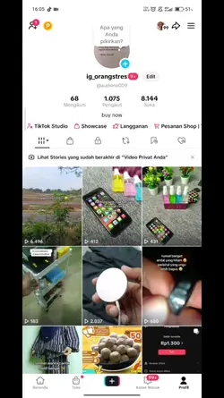 layar hijau