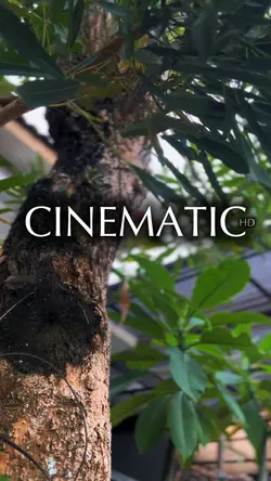 3 CINEMATIC HD