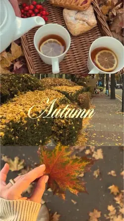 autumn