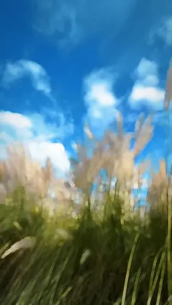 Slowmotion video 🤍✨