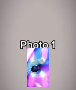 Cat spinnibg